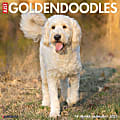 Willow Creek Press Animals Monthly Wall Calendar, 12" x 12", Just Goldendoodles, January to December 2022, 18125 1 thumbnail image