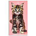 TF Publishing 2-Year Monthly Pocket Planner, 3-1/2" x 6-1/2", Kittens, January 2022 To December 2023 1 thumbnail image