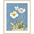 Amanti Art White Poppies I by Danhui Nai Wood Framed Wall Art Print, 33”W x 41”H, Natural
