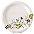 Dixie® Paper Plates, 10", Pathways, Carton Of 500 Plates 1 thumbnail image