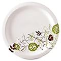 Dixie® Paper Plates, 10", Pathways, Carton Of 500 Plates