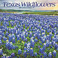 2025 BrownTrout Texas Wildflowers Monthly Plastic-Free Square Wall Calendar, 12" x 12", American States, January to December 2025, 9781975475802 1 thumbnail image