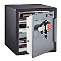 Sentry®Safe Fire-Safe® Electronic Advanced Safe, 1.2 Cu. Ft., Black/Gunmetal Gray