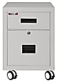 FireKing 18"W Vertical 2-Drawer Mobile Locking Fireproof File Cabinet, Metal, Platinum, Dock-to-Dock Delivery 1 thumbnail image