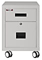 FireKing 18"W Vertical 2-Drawer Mobile Locking Fireproof File Cabinet, Metal, Platinum, Dock-to-Dock Delivery