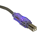 QVS USB 2.0 480Mbps Type A Male to B Male Translucent Cable with LEDs - 6 ft USB Data Transfer Cable for Printer, Scanner, Storage Drive - First End: 1 x USB Type A - Male - Second End: 1 x USB Type B - Male - Shielding - Purple