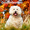 2025 BrownTrout Goldendoodles Monthly Plastic-Free Square Wall Calendar, 12" x 12", Dog Breeds, January to December 2025, 9781975477080 1 thumbnail image