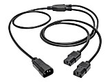 Eaton Tripp Lite Series C14 Male to C13 Female Splitter, PDU Style - C14 to 2x C13, 10A, 250V, 18 AWG, 6 ft. (1.83 m), Black - Power extension cable - IEC 60320 C14 to power IEC 60320 C13 - AC 100-250 V - 10 A - 6 ft - black