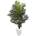 Nearly Natural Paradise Palm 66”H Artificial Tree With Planter, 66”H x 38”W x 26”D, Green/White