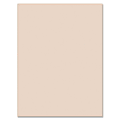 Pacon® Tag Board, 9" x 12", 128 Lb, Manila, Pack Of 100