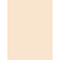 Pacon® Tag Board, 18" x 24", 150 Lb, Manila, Pack Of 100 1 thumbnail image