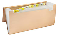 Divoga® Expanding File Wallet, 12" Expansion, 13 Pockets, Metallic Gold 1 thumbnail image