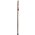 Brazos Walking Sticks™ Free Form Ironwood Walking Stick, 58"