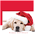 Great Papers! Holiday Greeting Cards, 5 5/8" x 7 7/8", Santa Puppy, Pack Of 18