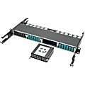 Eaton Tripp Lite Series 100Gb/120Gb to 40Gb Breakout Cassette, N4842M246M12 1 thumbnail image