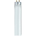 Satco® 48" T8 Fluorescent Bulbs, 32 Watt, Carton Of 6