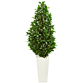 Nearly Natural 63"H Bay Leaf Cone Topiary Artificial Tree With UV-Resistant Planter, 63”H x 24”W x 24”D, Green/White