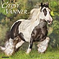 2026 Willow Creek Press Animals Monthly Wall Calendar, 12" x 12", Gypsy Vanner Horse, January To December, 51429 1 thumbnail image