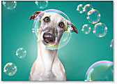 Viabella Blank Note Greeting Card, Dog, 5" x 7", Multicolor 1 thumbnail image