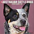 Willow Creek Press Animals Monthly Wall Calendar, 12" x 12", Just Australian Cattle Dogs, January to December 2022, 16718