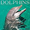 2026 Willow Creek Press Animals Monthly Wall Calendar, 12" x 12", Dolphins, January To December, 55403 1 thumbnail image