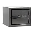 Sanctuary Diamond Biometric Lock Home/Office Safe, 0.79 Cu. Ft., Dark Grey Hammertone 1 thumbnail image