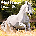 2026 Willow Creek Press Animals Monthly Wall Calendar, 12" x 12", What Horses Teach Us, January To December, 53195 1 thumbnail image