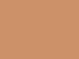 Tru-Ray® Construction Paper, 50% Recycled, 18" x 24", Tan, Pack Of 50 1 thumbnail image