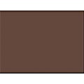 Tru-Ray Construction Paper - Bulletin Board - 18"Width x 24"Length - 50 / Pack - Dark Brown - Sulphite 1 thumbnail image