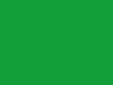 Tru-Ray® Construction Paper, 50% Recycled, 18" x 24", Festive Green, Pack Of 50 1 thumbnail image