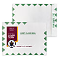 Custom Full-Color Zip Stick DuPont Tyvek® Mailing Envelopes, 9" x 12", White/Green, Open-End, Box Of 500 Envelopes
