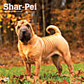 2025 BrownTrout Shar Pei Monthly Plastic-Free Square Wall Calendar, 12" x 12", Dog Breeds, January to December 2025, 9781975477707 1 thumbnail image