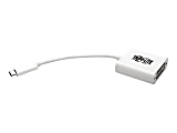 Tripp Lite USB C to DVI Video Adapter Converter 1080p, M/F, USB-C to DVI, USB Type-C to DVI, USB Type C to DVI 6in - 640 MB/s - 1 x Type C Male USB - 1 x DVI-D (Dual-Link