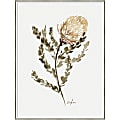 Amanti Art Wild Banksia by Sara Berrenson Wood Framed Wall Art Print, 31”W x 41”H, White