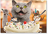 Viabella Fun Birthday Greeting Card With Envelope, Sundae Cat, 5" x 7" 1 thumbnail image
