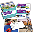 Stages Learning Materials Language Builder Picture Cards, 5” x 3-1/2”, Verbs, 1st Grade, Set Of 230 Cards