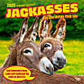 2025 BrownTrout Jackasses Monthly Plastic-Free Square Wall Calendar, 12" x 12", Fun and Humor, January to December 2025, 9781975477240 1 thumbnail image