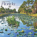 2025 BrownTrout Florida Wild & Scenic Monthly Plastic-Free Square Wall Calendar, 12" x 12", American States, January to December 2025, 9781975474812 1 thumbnail image
