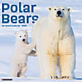 2026 Willow Creek Press Animals Monthly Wall Calendar, 12" x 12", Polar Bears, January To December, 56059 1 thumbnail image
