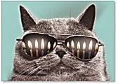 Viabella Fun Birthday Greeting Card With Envelope, Candle Cat, 5" x 7"