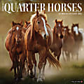 2026 Willow Creek Press Animals Monthly Wall Calendar, 12" x 12", American Quarter Horses, January To December, 49853 1 thumbnail image