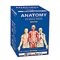 QuickStudy Flash Cards, 4" x 3-1/2", Human Anatomy, Pack Of 300 Cards 1 thumbnail image