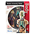 Learning Resources® Model Human Body Anatomy Set, 4 1/2", Grades 3 - 12