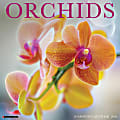 2026 Willow Creek Press Art & Design Monthly Wall Calendar, 12" x 12", Orchids, January To December, 56035 1 thumbnail image