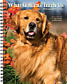 2024 Willow Creek Press Weekly Engagement Planner, 6-1/2" x 8-1/2", What Goldens Teach Us, January To December