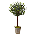Nearly Natural 54" Olive Topiary Tree With European Barrel Planter, Green/Brown 1 thumbnail image