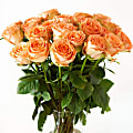 Rose Farmers Orange Citrus Long Stem Roses, Orange, Box Of 24 Roses