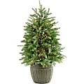 Fraser Potted Pine Tree With Clear Lights, 4', Green