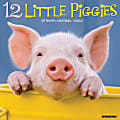 2024 Willlow Creek Press Animals Monthly Wall Calendar, 12" x 12", 12 Little Piggies, January To December