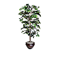 NuDell 6'H Artificial Green Fichus Tree